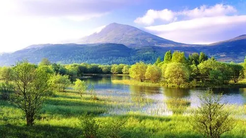 稳定性节能高精度